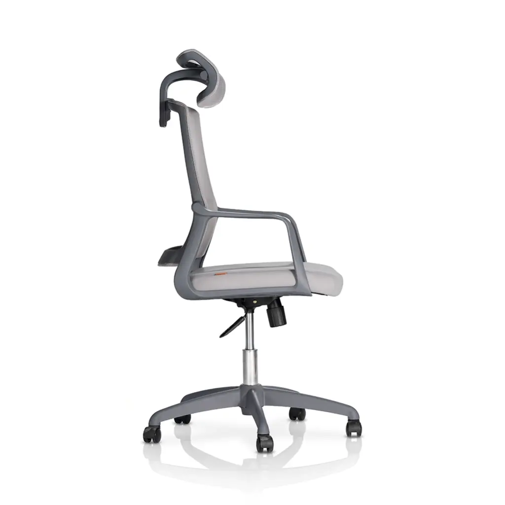 Motion R-13-FS
