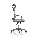 Motion R-13-FS