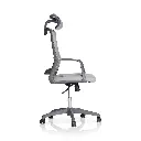 Motion R-13-FS