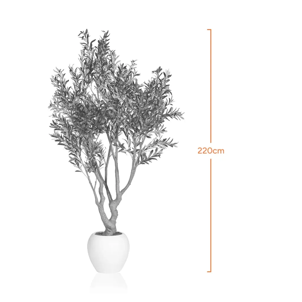 Tree-1-Measurement