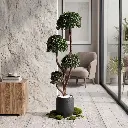 Tree-2-ENV