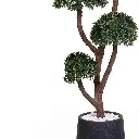 Tree-2-CU