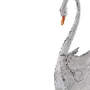 Swan Planter-CU1