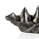 Decorative Shell Bowl-CU1