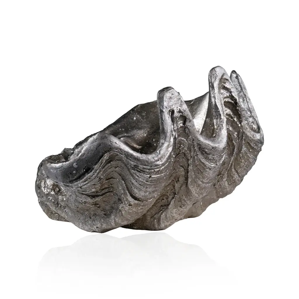 Decorative Shell Bowl-B