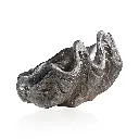 Decorative Shell Bowl-B