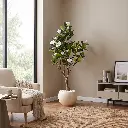 PE Magnolia Tree_175cm_Green