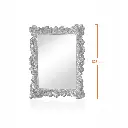 Duchess Mirror-Measurement