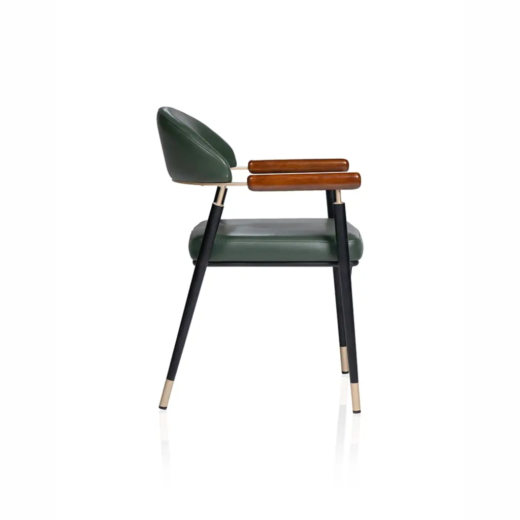 Lounge chair-FS