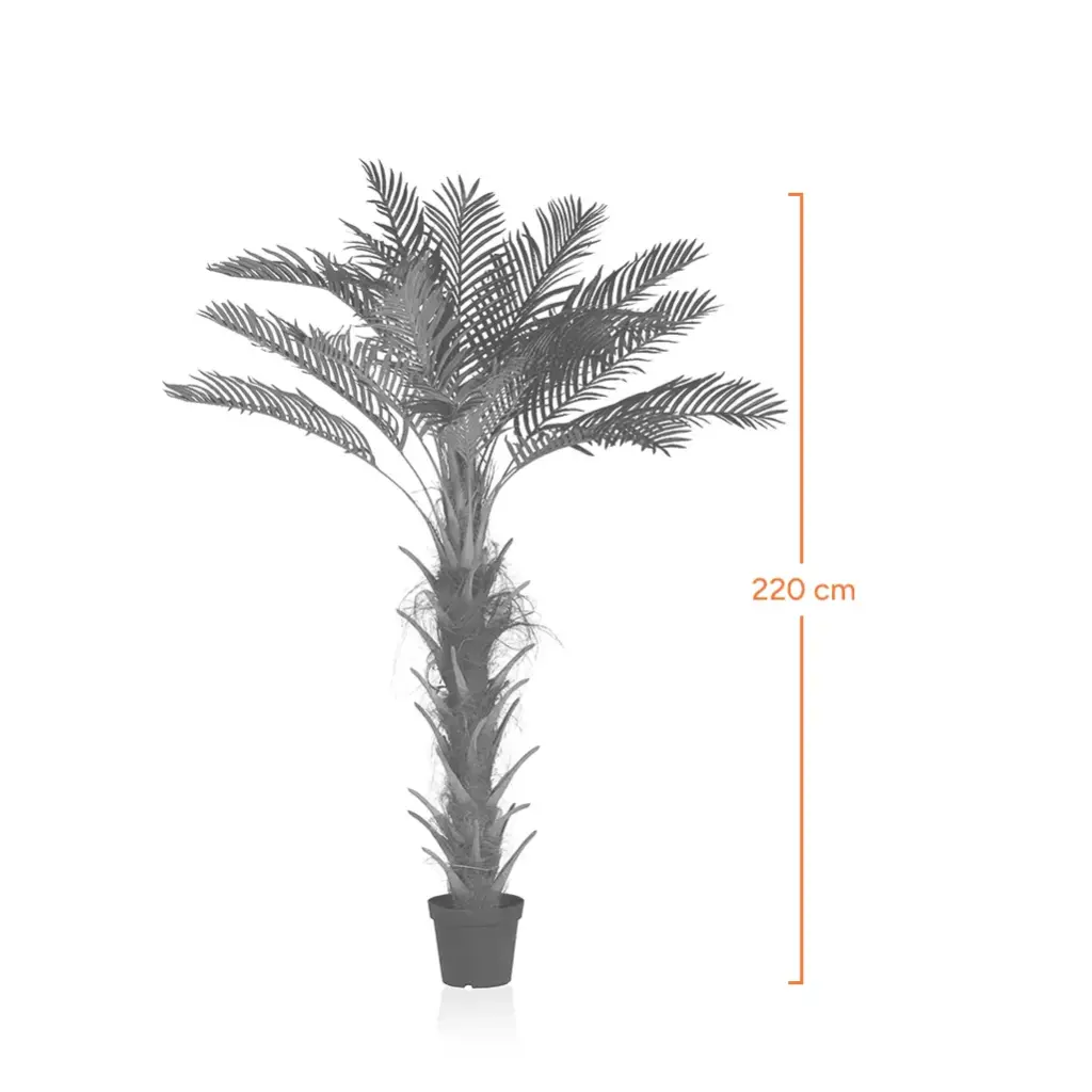 Herringbone Coconut Tree-Measurement