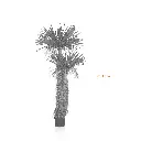 New Scarecrow (Double Head)-Measurement