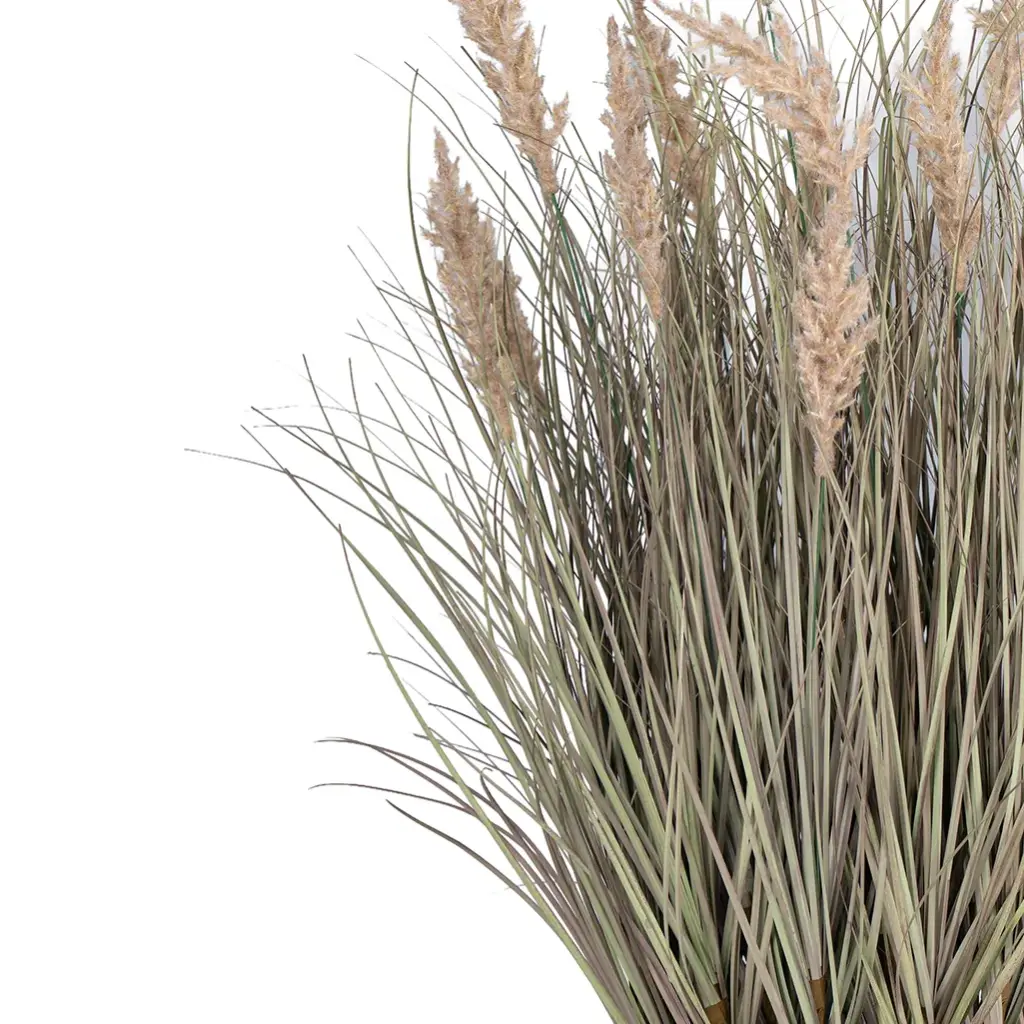 Silky Grass and Small Reeds-CU1