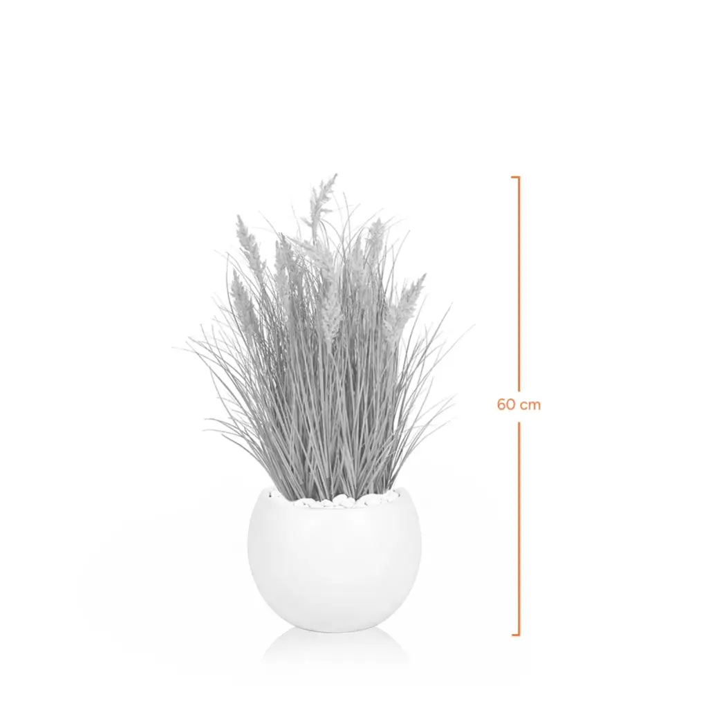 Silky Grass and Small Reeds-Measurement