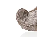Shell Planter-CU1