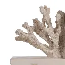 Faux Coral Bookends-CU1