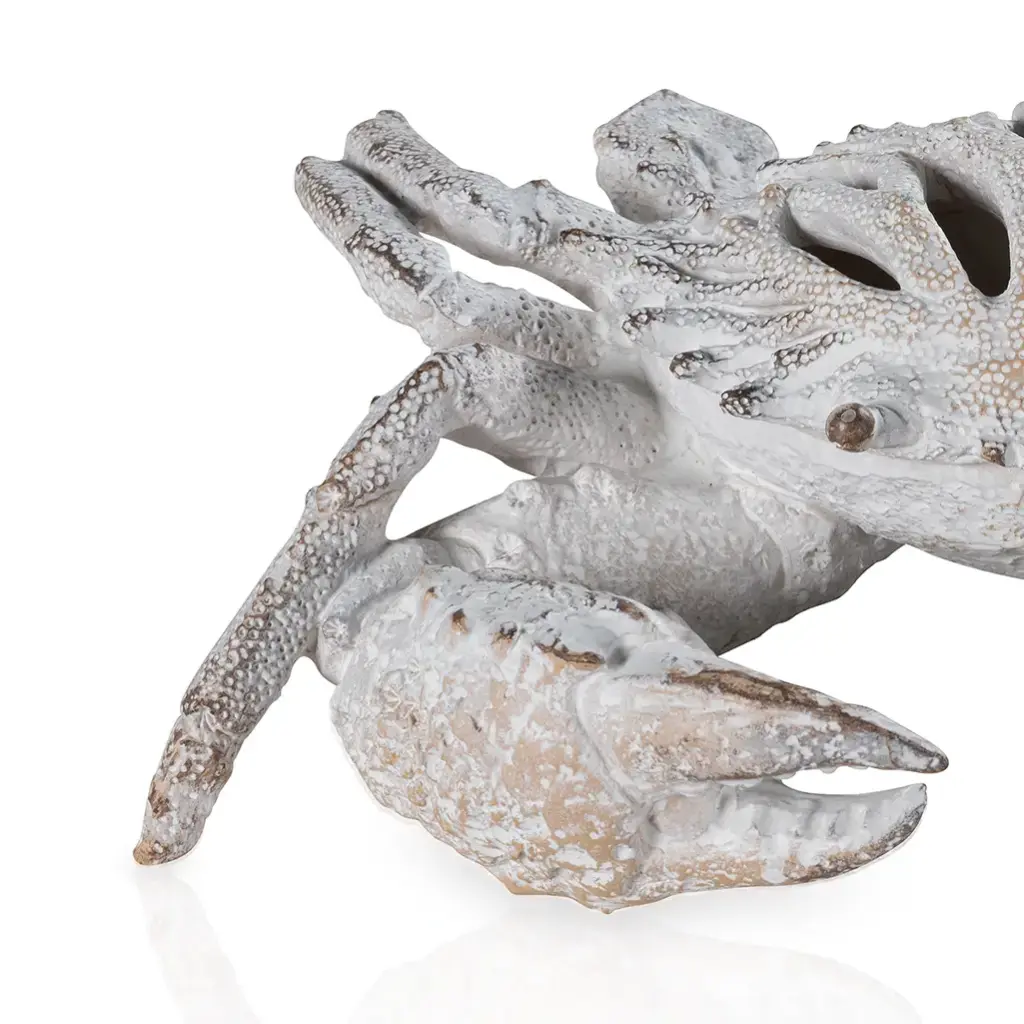 White Coral Look Crab-CU1