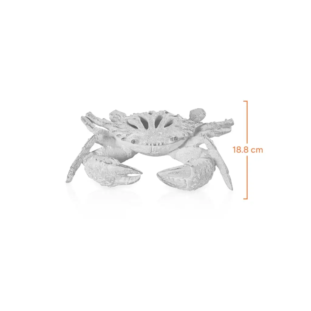 White Coral Look Crab-Measurement
