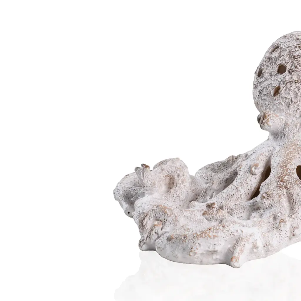 White Coral Look Octopus-CU1