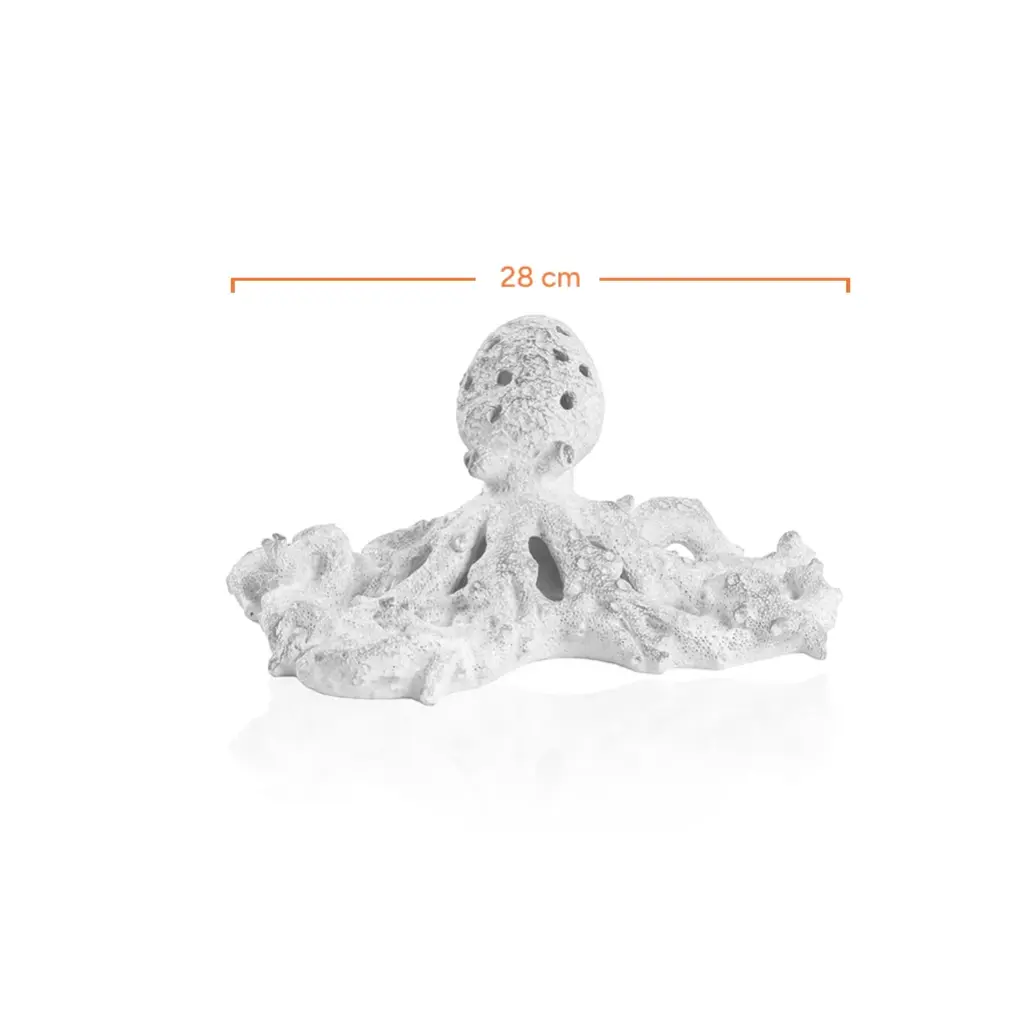 White Coral Look Octopus-Measurement