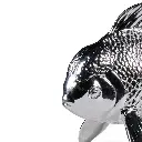 Limpet Fish Figurine 25.5 X 15.5 X 17 cm