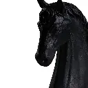 Chess-Knight Decor_128 x 128 x 24cm_B0141