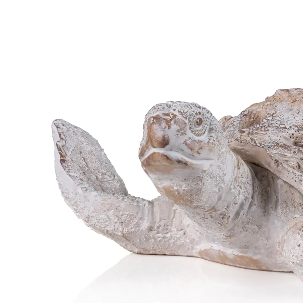 Reef Sea Turtle Statue_33.5 X 31 X 10cm _White_70547