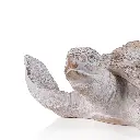 Reef Sea Turtle Statue_33.5 X 31 X 10cm _White_70547