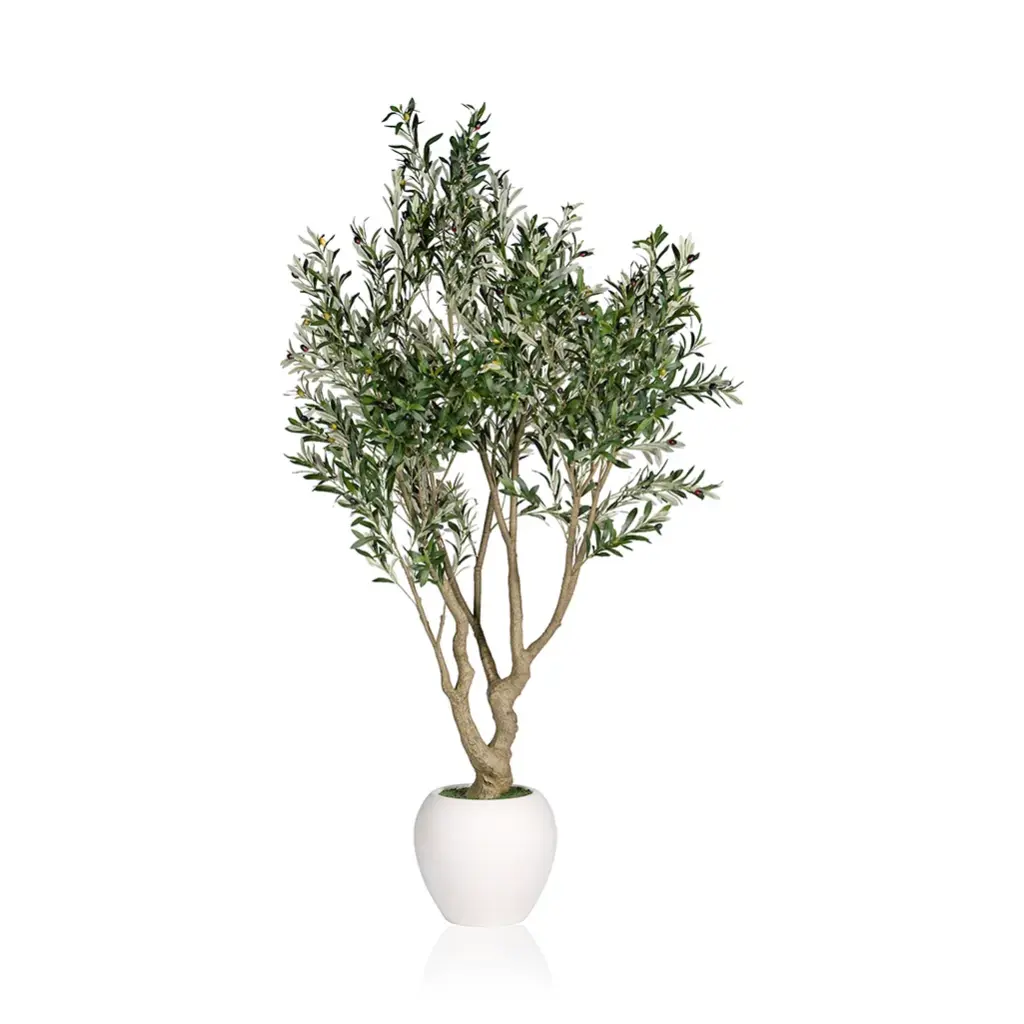 Olive tree_220cm_Green