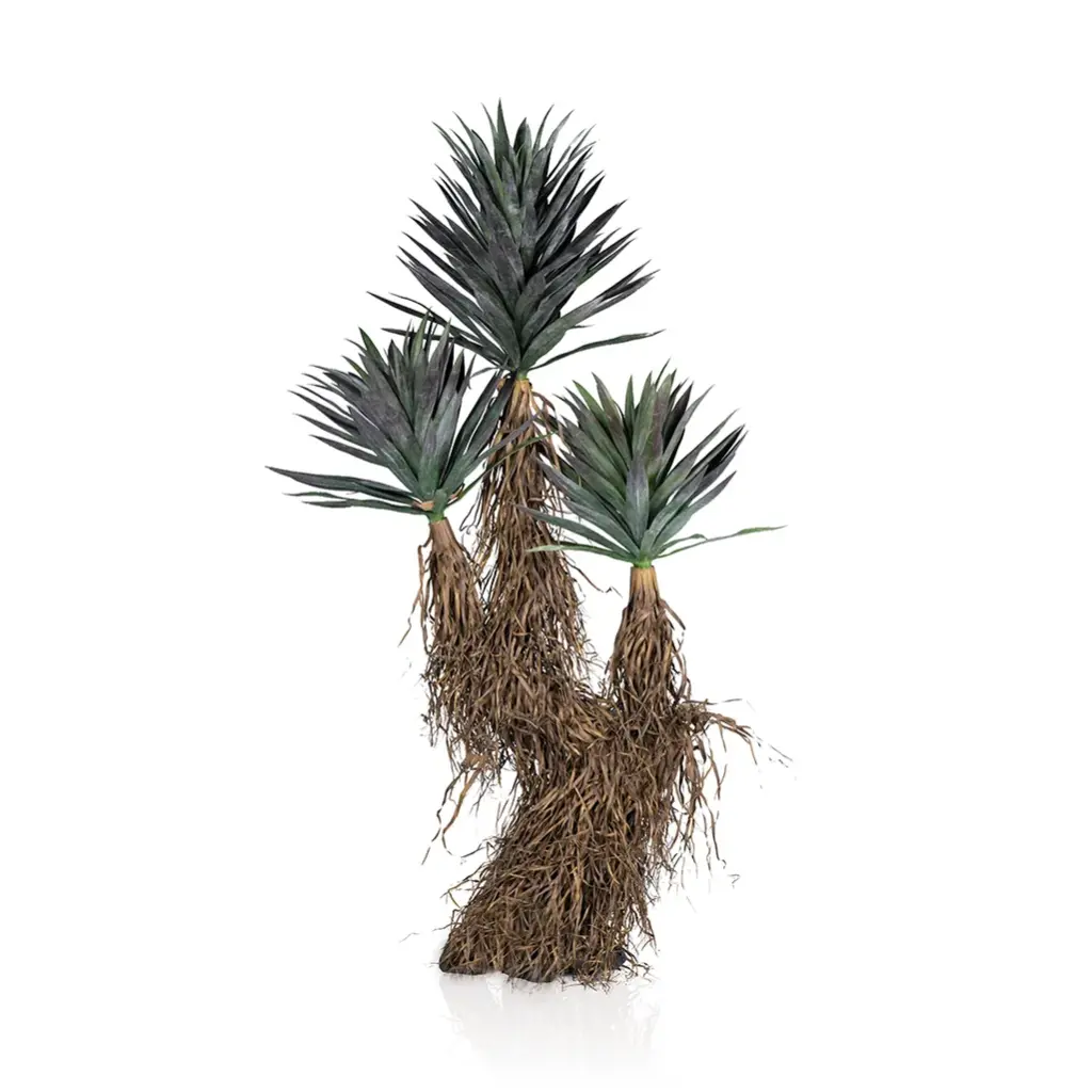 Straw Agave 180cm