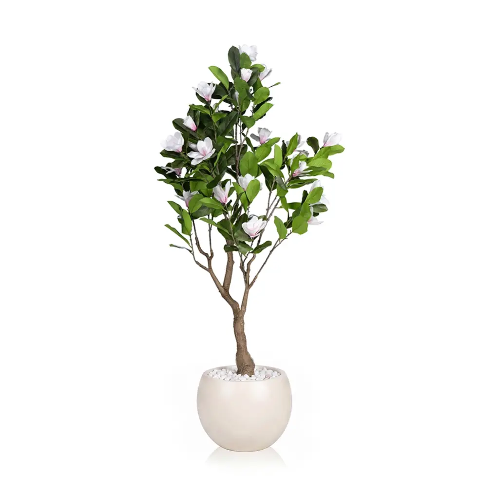 Magnolia Tree 