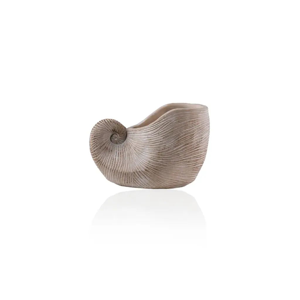 Shell Planter 21.5 X 14 X 16 cm