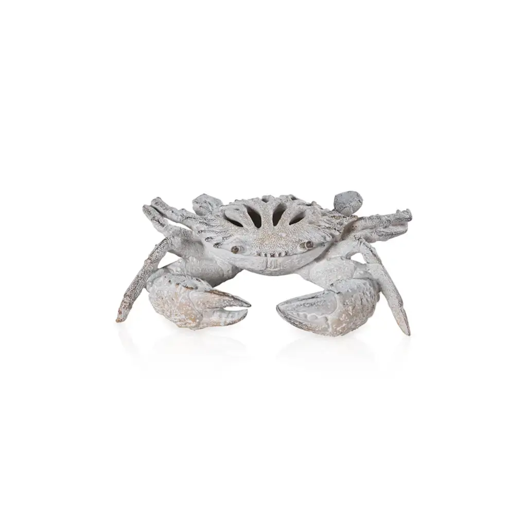 White Coral Crab 27.8 X 18.8 X 6.8 cm