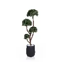 Hemispherical Potted Plant 