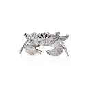 White Coral Crab 27.8 X 18.8 X 6.8 cm